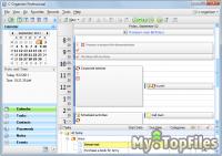 Look at screenshot of C-Organizer Pro