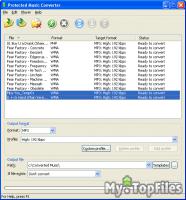 Look at screenshot of Protected Music Converter