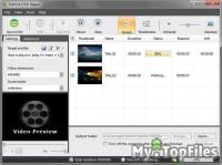 Look at screenshot of Sothink DVD Ripper