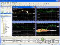 Look at screenshot of MetaTrader